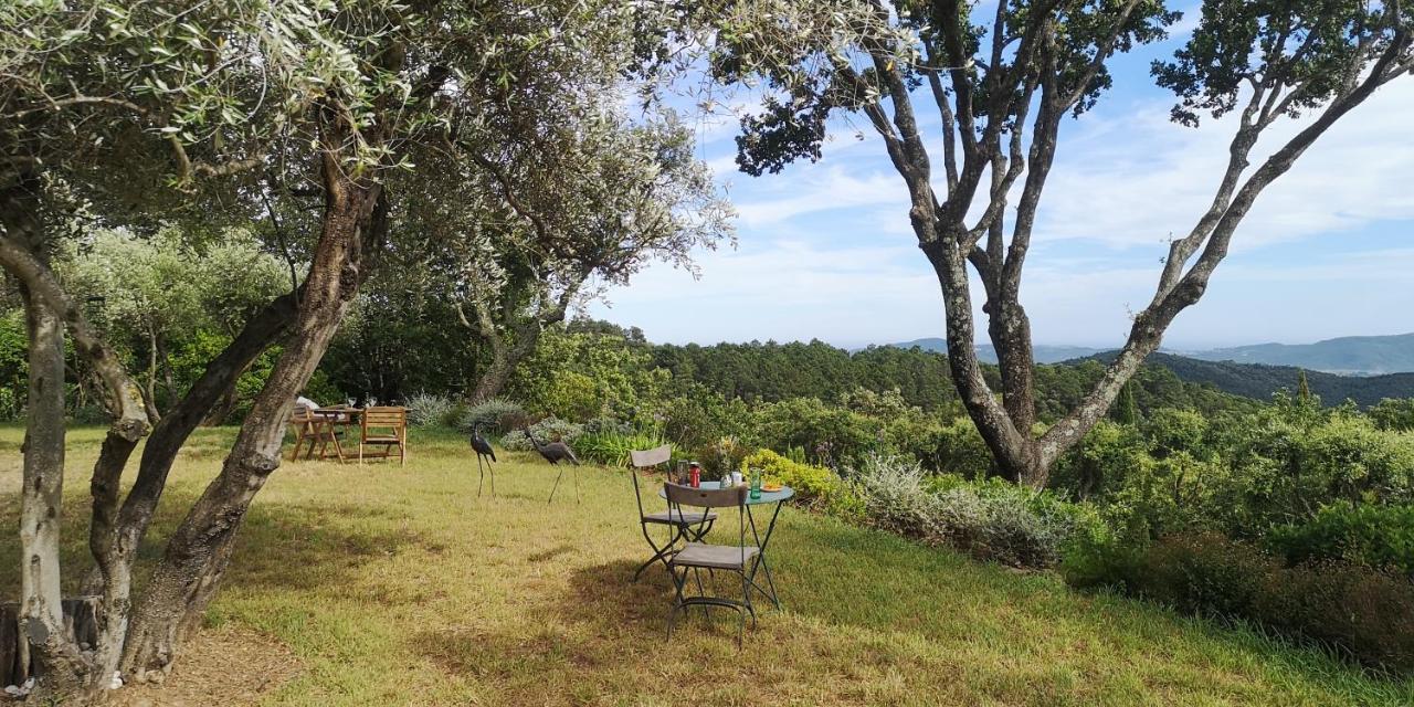 Domaine Des Chênes De La Galline * La Garde-Freinet